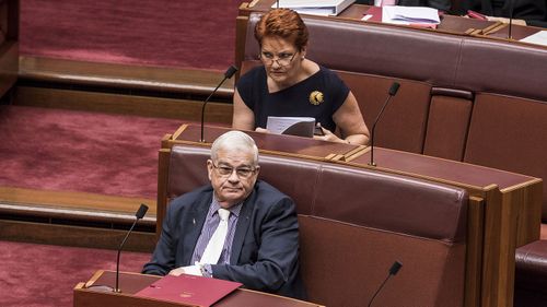 Brian Burston and Pauline Hanson in the Senate in 2019. The one-time party colleagues fell out over policy and later sued each other.