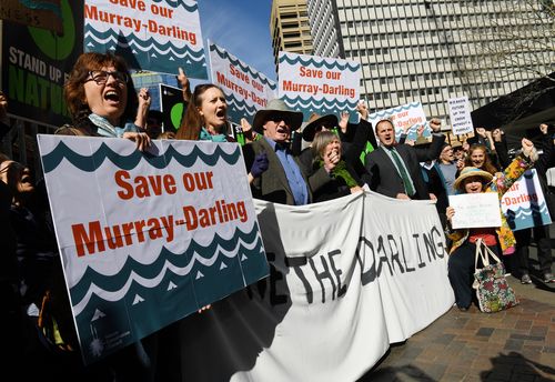 Protesters fighting against the NSW Government's handling of the Murray-Darling Basin gathered in Sydney last week. (AAP)