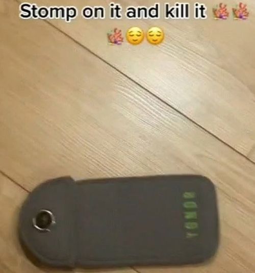 A social media image of a phone in a locked case, saying 'stomp on it and kill it'.