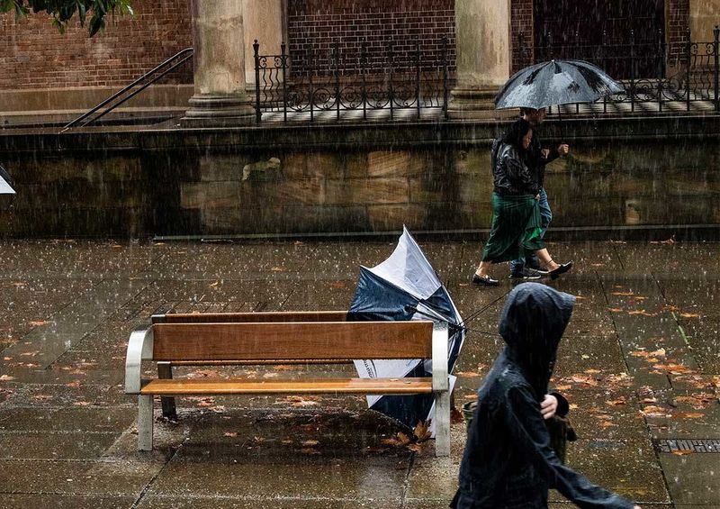 Rain falling over Sydney.