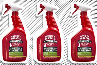 9PR: Nature's Miracle Advanced Cat Stain And Odour Eliminator, 946mL