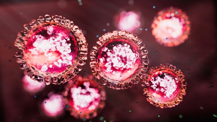 Health warning issued after highly infectious disease detected on the Gold Coast