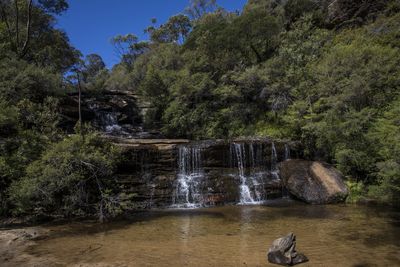 Wentworth Falls Track, Blue Mountains