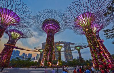 Singapore supertrees at night