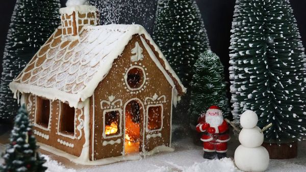 Stock photo showing close-up view of a snowy clearing in night-time, conifer forest scene. A homemade, gingerbread house decorated with white royal icing is seen illuminated with fairy lights and surrounded by model fir trees on white, icing sugar snow against a black background.
