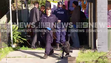 Several homes in the NSW Illawarra region have been raided by detectives, the dog squad and highway patrol officers in a large drug operation.