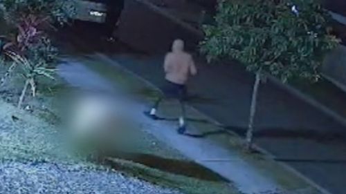 Four teenage boys have been arrested over the stabbing and robbery of a pizza delivery driver in Queensland yesterday evening.