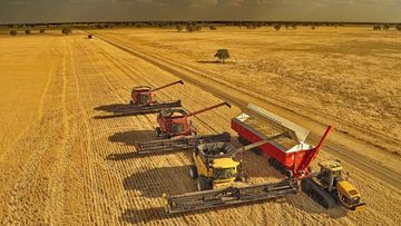 Australian wheat being harvested near Collie, NSW.