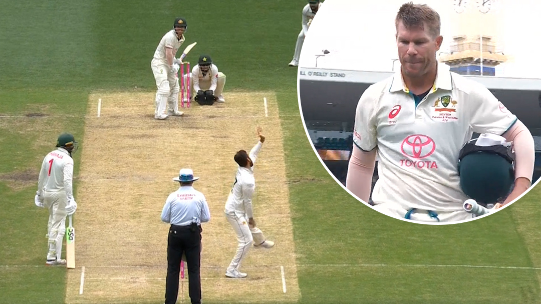 'It was silence': Crowd 'stunned' as David Warner caught for 34 in final Test match