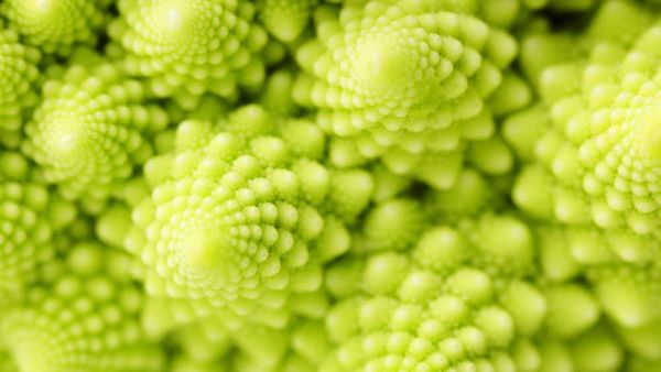 Romanesque cauliflower. Image: iStock