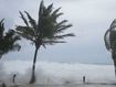 Island 'flattened in 30 minutes' by monster storm