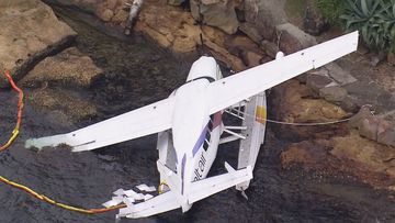 Seaplane sydney harbour shark island