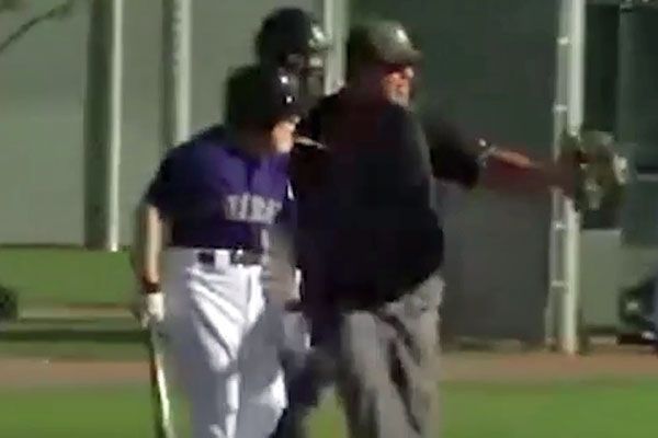 Elderly baseball fan confronts pitcher