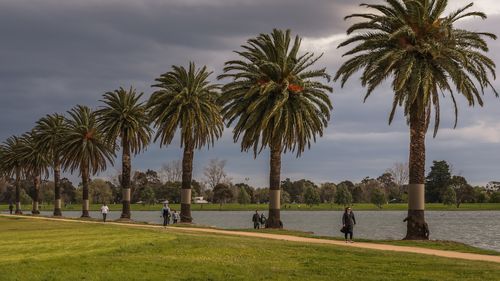 Picnic and park goers are seen at the Royal Botanic Gardens in Melbourne, Australia