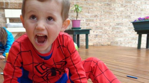 Missing toddler William Tyrrell to feature on NSW highway billboards