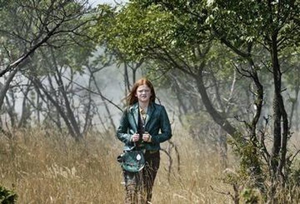 Wildwitch