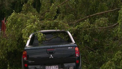 The passenger inside the vehicle escaped unscathed. (9NEWS)