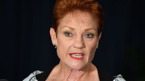 Pauline Hanson says people should be allowed to climb Uluru.