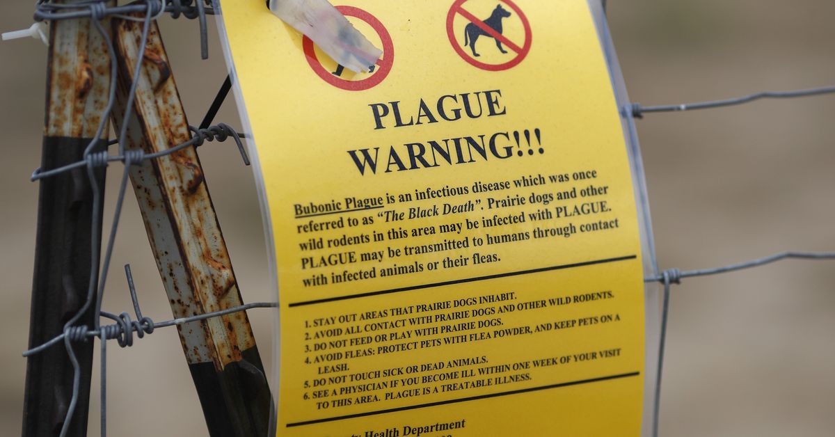 Case of bubonic plague detected in the US