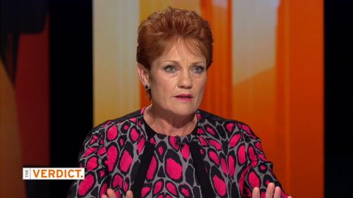 Pauline Hanson has admitted to smoking marijuana in her youth. (9NEWS)