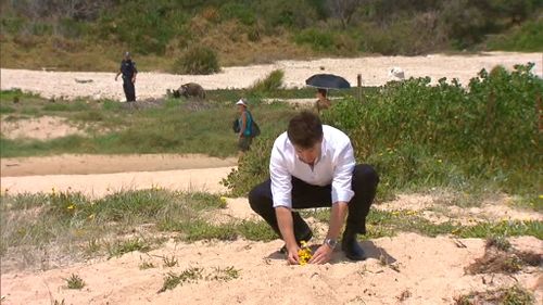 Randwick Councillor Brendan Roberts lays flowers near the scene where the baby's body was found. (9NEWS)