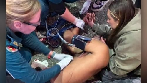 An 18-year-old man has been granted bail after allegedly stabbing a backpacker who was trying to break up a fight in Brisbane's Fortitude Valley.