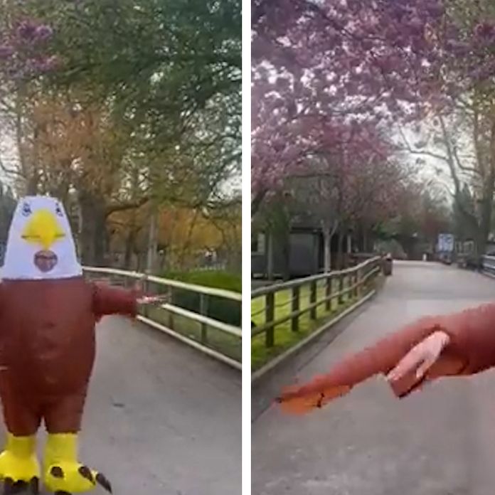 Zoo Hiring People To Dress Up As Giant Eagles And Scare Off Seagulls