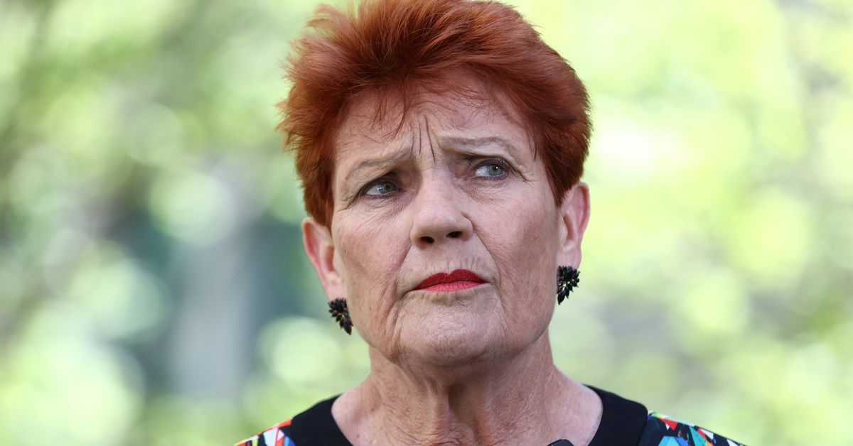 Pauline Hanson says tax reforms will leave younger people worse off