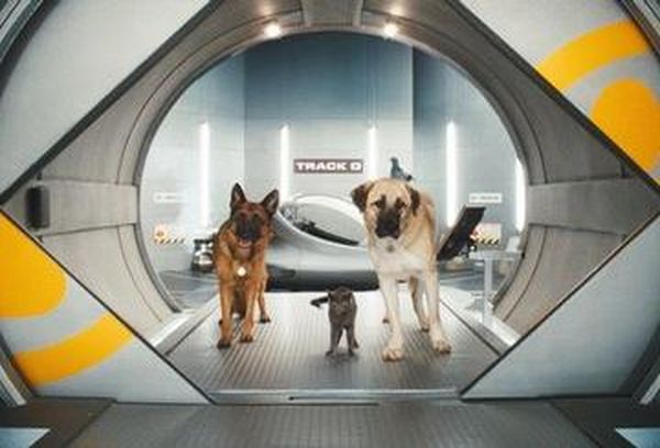Cats & Dogs: The Revenge of Kitty Galore