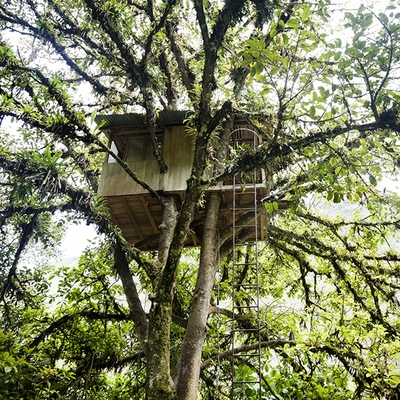 The property feature that tugs the heartstrings is the humble treehouse