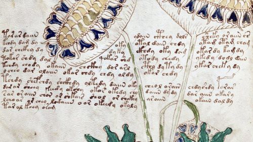 The manuscript had puzzled experts for hundreds of years. 