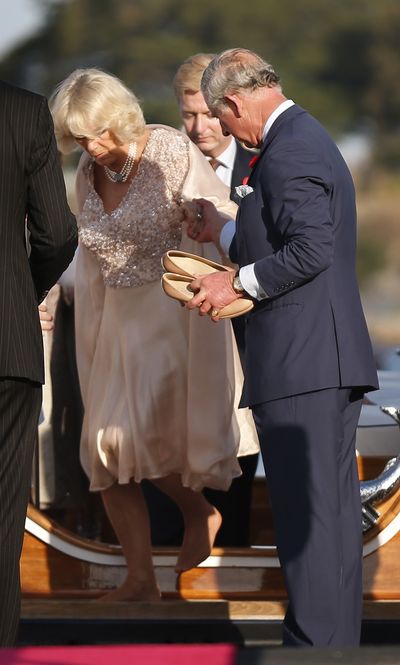 Prince Charles and Camilla, 2012