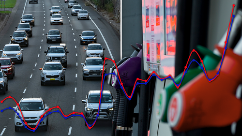 Why are petrol prices so high | Explainer