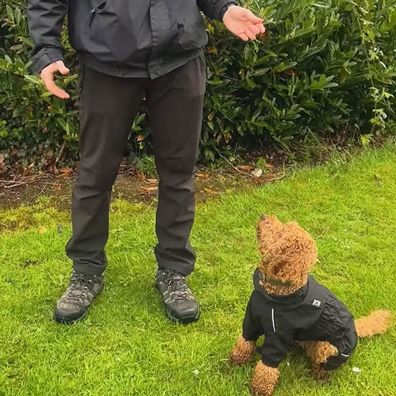 Thomas from McCoubrey K9 Services explains training your dog outside