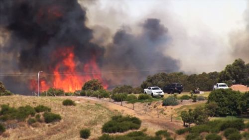 Bushfires on South Australia's Eyre Peninsula have challenged firefighters today, with an unknown number of homes and businesses confirmed lost.