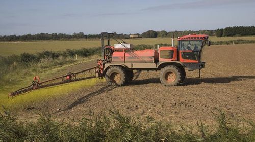 Glyphosate is widely used in farming and has been found to "probably" increase risk of cancer. (Getty) 