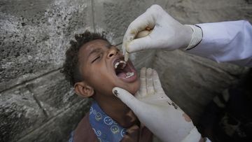 A Yemeni boy receives a cholera vaccination during a house-to-house immunization campaign in Sanaa, Yemen.