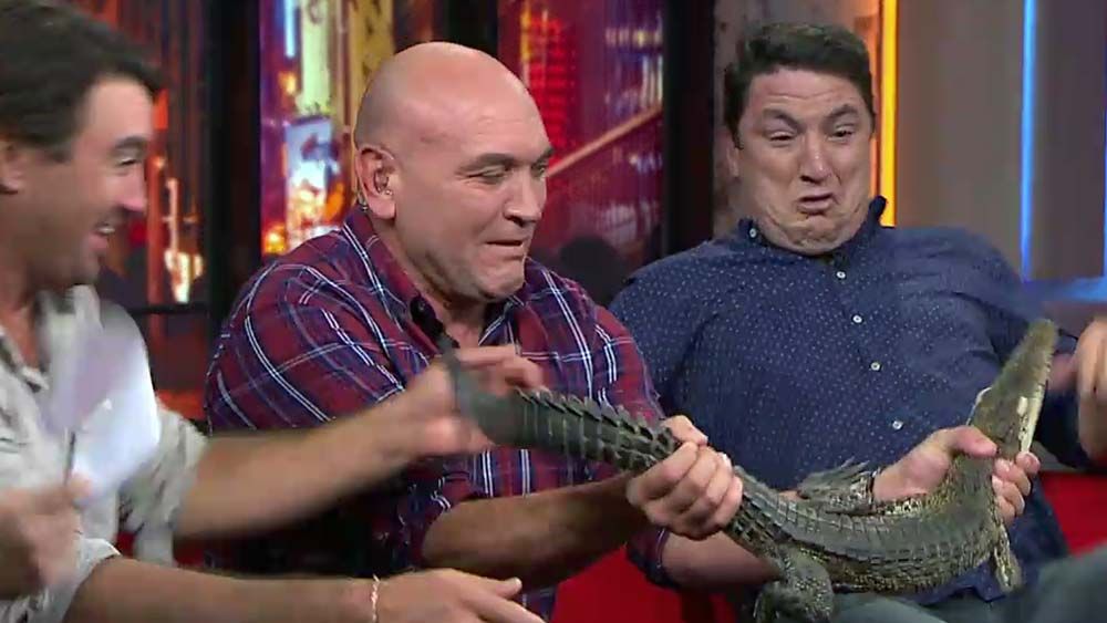 Crocodile terrifies live TV panel with subtlest of movements