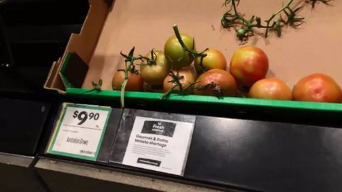 Tomatoes were $9.90 per kilo at Woolworths Supermarkets in Melbourne. (9NEWS)