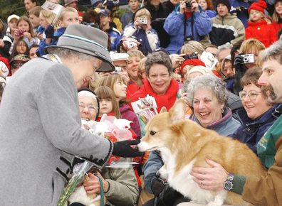 In 2002, the Queen admired a Corgi in Manitoba, during her two week Golden Jubilee tour of Canada.