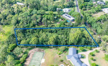 Aerial photo of overgrown land. There's a blue rectangle around the dense tree area where a house should be.