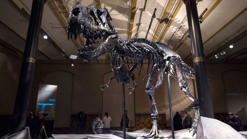 Dinosaurs struggled to survive long before asteroid hit