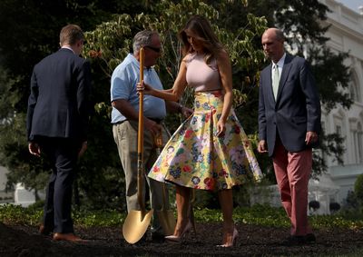 Whilst most rudimentary garden chores call for gloves and
gumboots, <a href="https://style.nine.com.au/2016/11/09/18/17/melania-trump-first-lady-style" target="_blank" title="US First Lady Melania Trump" draggable="false">US First Lady Melania Trump</a> prefers to sow her seeds in Valentino and
Christian Louboutin.<br />
<br />
Yesterday, the former model stepped out in a $5,384
&nbsp;floral, knee-length skirt from the luxury label&rsquo;s S/S&rsquo;17 collection and
baby pink stiletto Louboutin heels, to plant an oak sapling from as a tribute
to presidential descendants.<br />
<br />
Standing between a granddaughter of Dwight D. Eisenhower
(34th US President) and a fifth-generation descendant of James Monroe (5th US
President) she helped plant a sapling from the White House&rsquo;s Eisenhower oak
tree. <br />
<a href="https://style.nine.com.au/2018/07/11/13/46/beyonce-balmain-on-the-run" target="_blank" draggable="false"><br />
Forging a Beyonc&eacute;-inspired wardrobe change,</a> the
mother-of-one also wore the outfit to meet with Kenyan President Uhuru Kenyatta
and his wife Lady Margaret Kenyatta earlier in the day.<br />
<br />
Valentino seems to be a staple in Trump&rsquo;s White House
wardrobe. She has sported numerous designs from the Italian fashion house, most
recently, <a href="https://style.nine.com.au/2017/07/13/10/26/style_queen-letizia-of-spain" target="_blank" title="a printed dress worn to meet with the King and Queen of Spain inJune." draggable="false">a printed dress worn to meet with the King and Queen of Spain in June.</a><br />
<br />
Click through to see the most recent style highlights of US
First Lady Melania Trump.