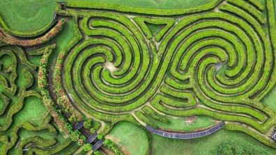 Bago Maze, NSW