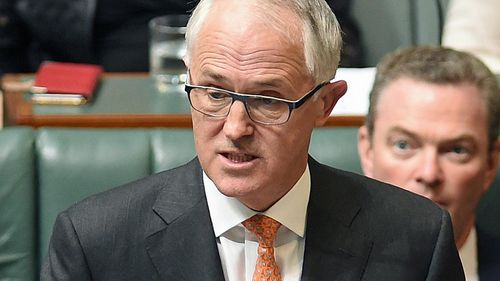 Turnbull to consider domestic violence leave