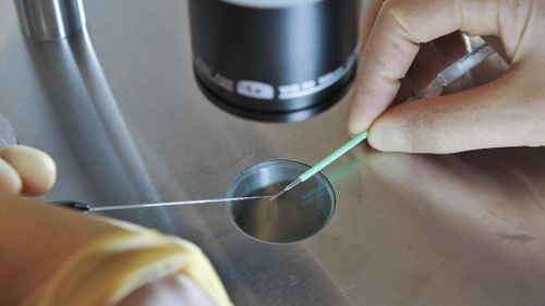 Embryos being prepared for instant-freezing using a vitrification process for IVF. (AAP file image)