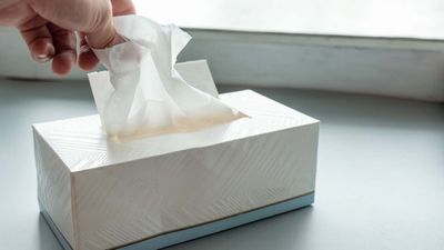Tissue box lint bin
