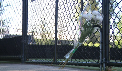 Cricket player fighting for life after being hit by ball in head and neck area Ferntree Gully