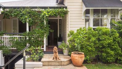 Auchenflower dog house for sale Domain property listing Brisbane