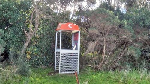 The Telstra payphone Michael O'Brien came across, nestled in the bush in Victoria's South Gippsland.